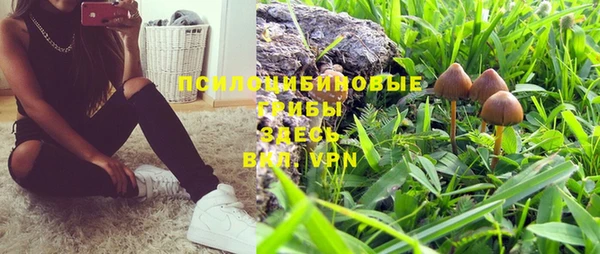 ПСИЛОЦИБИНОВЫЕ ГРИБЫ Магадан