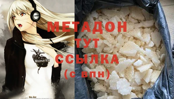 прущие грибы Барнаул