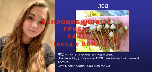 гидра Мегион