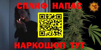 PSILOCYBIN Азнакаево