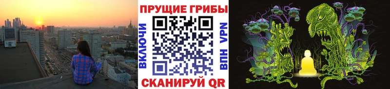 Псилоцибиновые грибы Psilocybine cubensis  Тайшет 