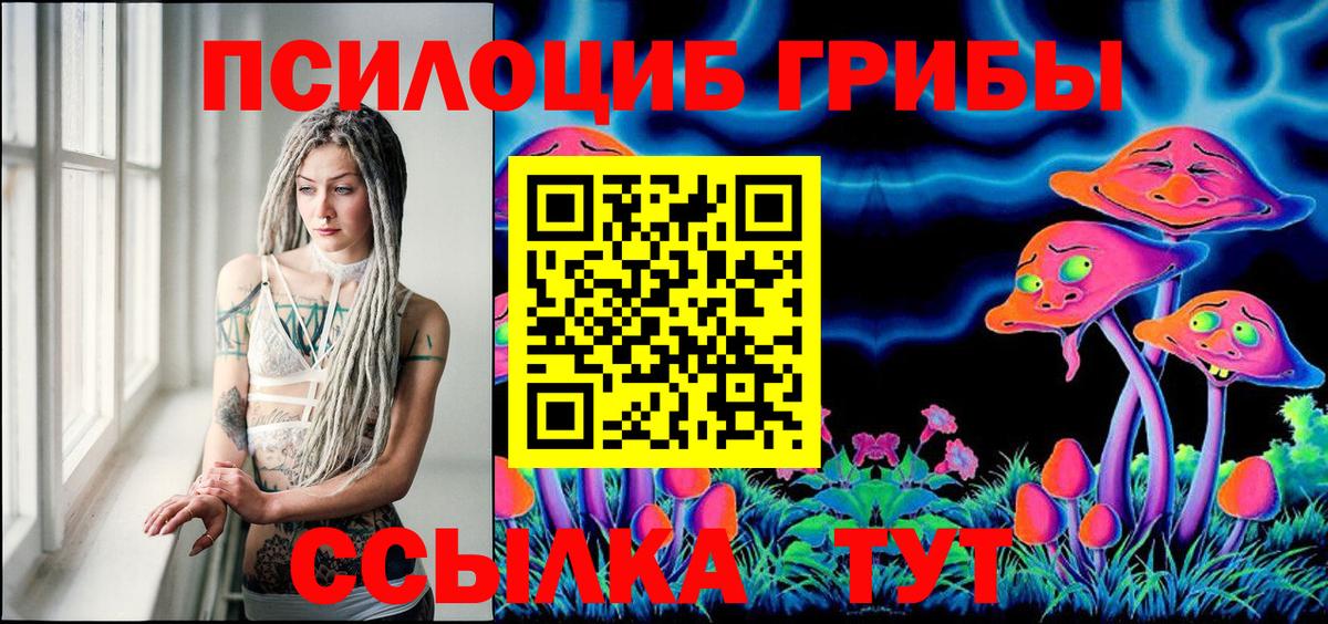 Галлюциногенные грибы MAGIC MUSHROOMS  Вход с VPN  Тайшет 