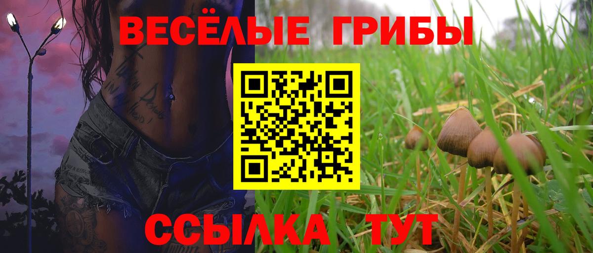 Псилоцибиновые грибы ЛСД Тайшет